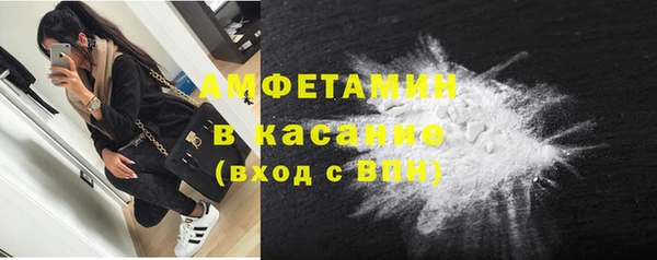 индика Сосновый Бор