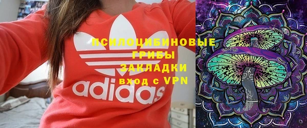 дмт Алексеевка