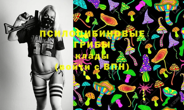 молекула духа Алзамай