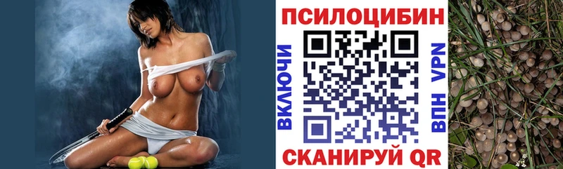hydra ССЫЛКА  Заводоуковск  Псилоцибиновые грибы мухоморы 