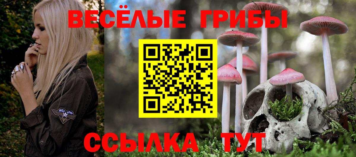 Галлюциногенные грибы мицелий Заводоуковск