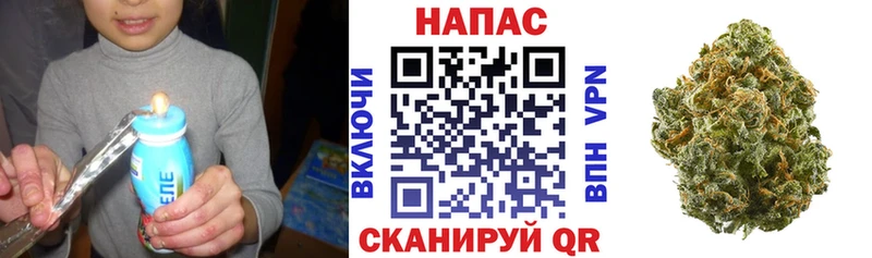 Шишки марихуана план  ссылка на мегу ТОР  Заводоуковск 