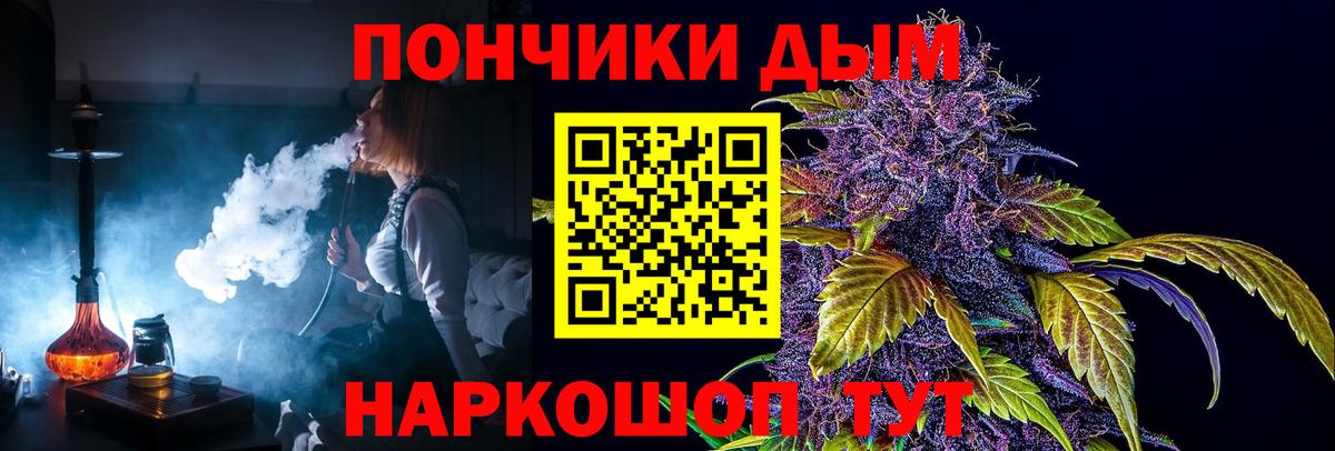 Каннабис семена  Шишки марихуана индика  Шишки марихуана семена  Вход с VPN  Заводоуковск  МАРИХУАНА сатива 